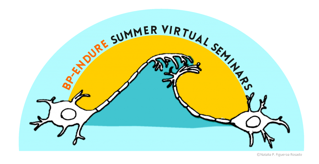 BP-Endure Summer Virtual Seminar – NEUROID