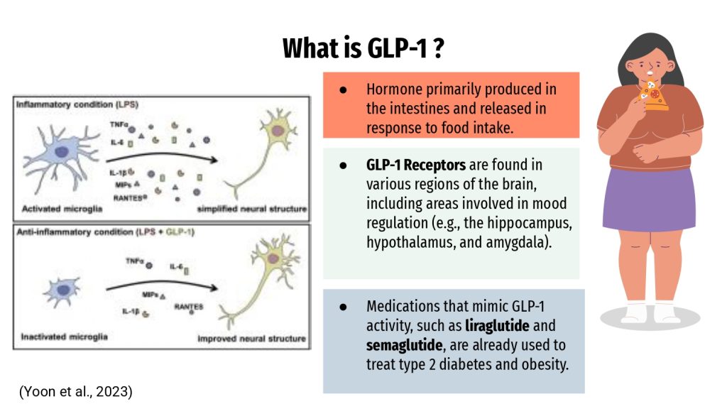 Daniela_Umana_New+frontier+for+antidepressants+GLP-1+Agonist.pptx_page-0003