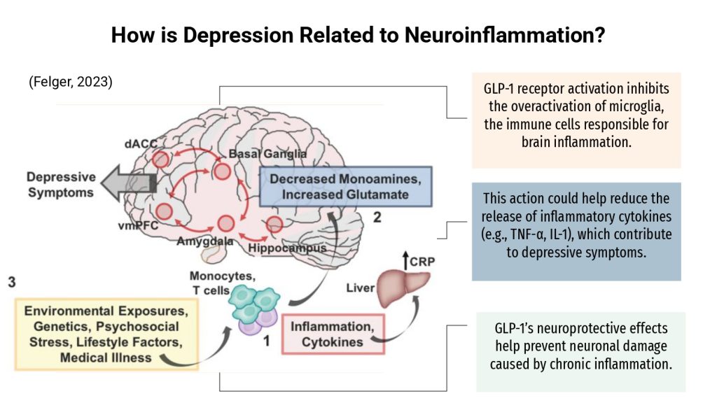 Daniela_Umana_New+frontier+for+antidepressants+GLP-1+Agonist.pptx_page-0004