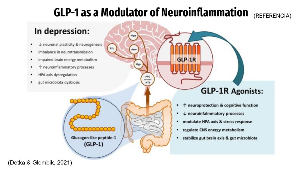 Daniela_Umana_New+frontier+for+antidepressants+GLP-1+Agonist.pptx_page-0005