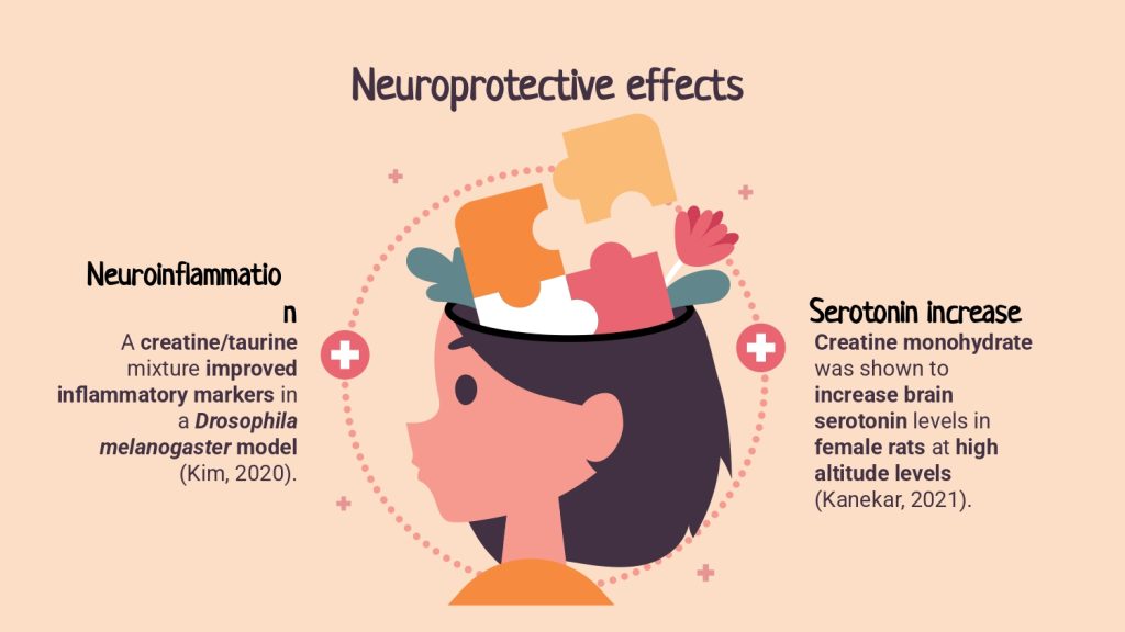 Antidepressant and neuroprotective effects of creatine monohydrate supplementation.pptx_page-0004