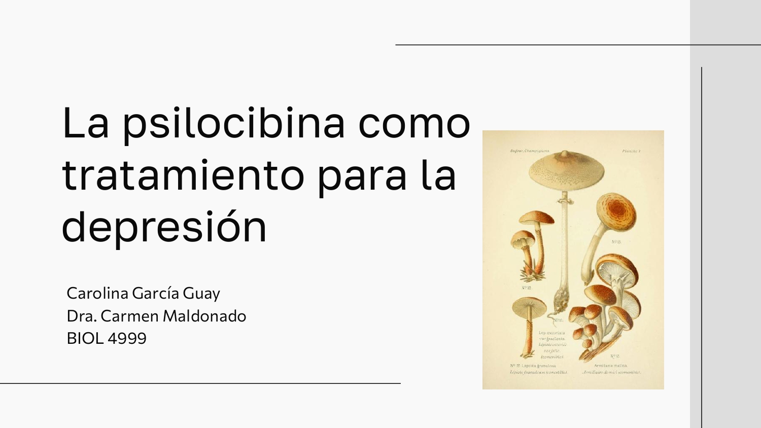 Carolina Garcia_Presentacion Podcast.pptx (1)_page-0001