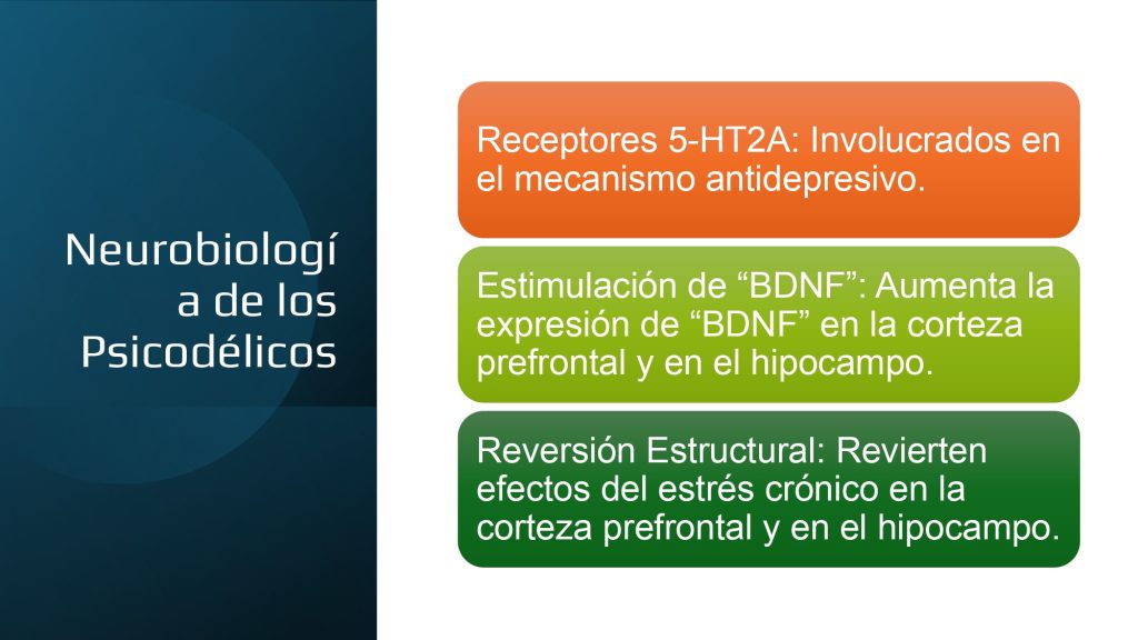 Sebastian Vidal Tratamiento de depresion con psicodelicos.pptx_page-0003